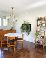 Gooseneck Chandelier 30"