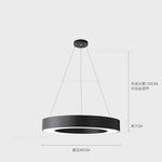 Modern Iron Art Circle LED Pendant Lights - Black White Metal Ringoffsetof.