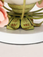 Hanging Flower Ceiling Lamp