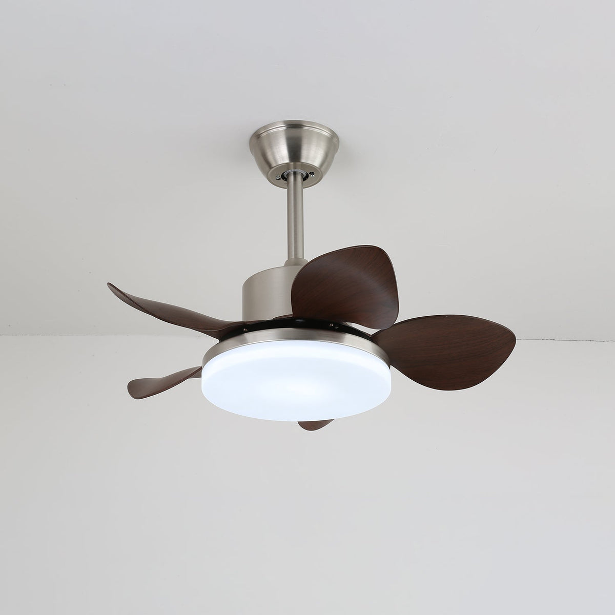 Hazel Ceiling Fan Light