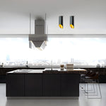 Hazel Tube Surface Downlight