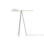 Heart Wing Tripod Floor Lamp