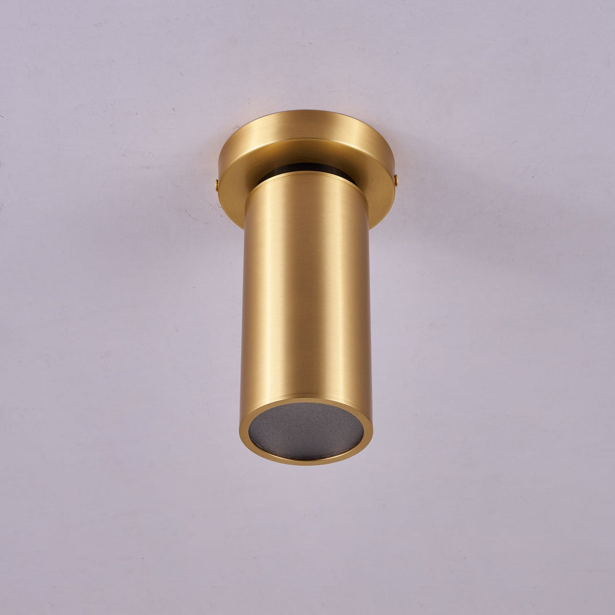 Horizon Brass Spot Light