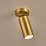 Horizon Brass Spot Light