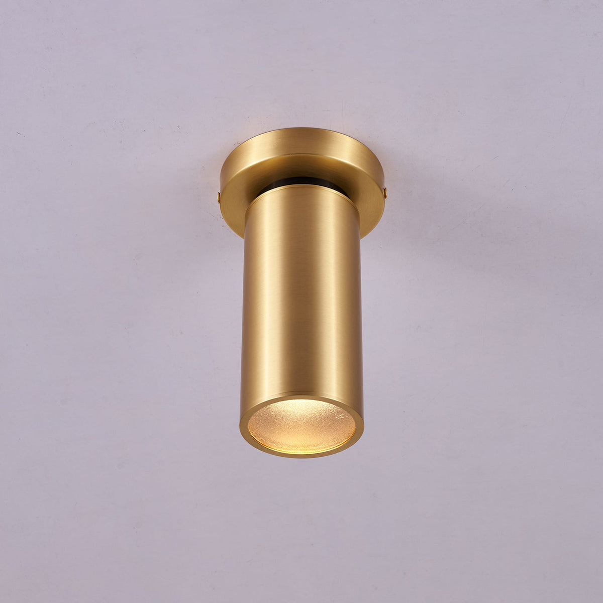 Horizon Brass Spot Light