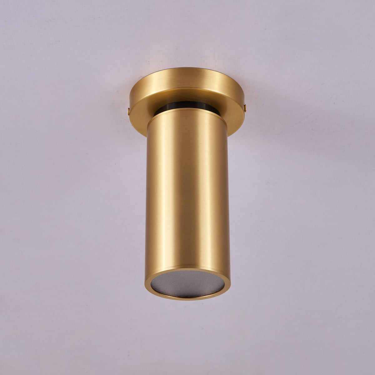 Horizon Brass Spot Light