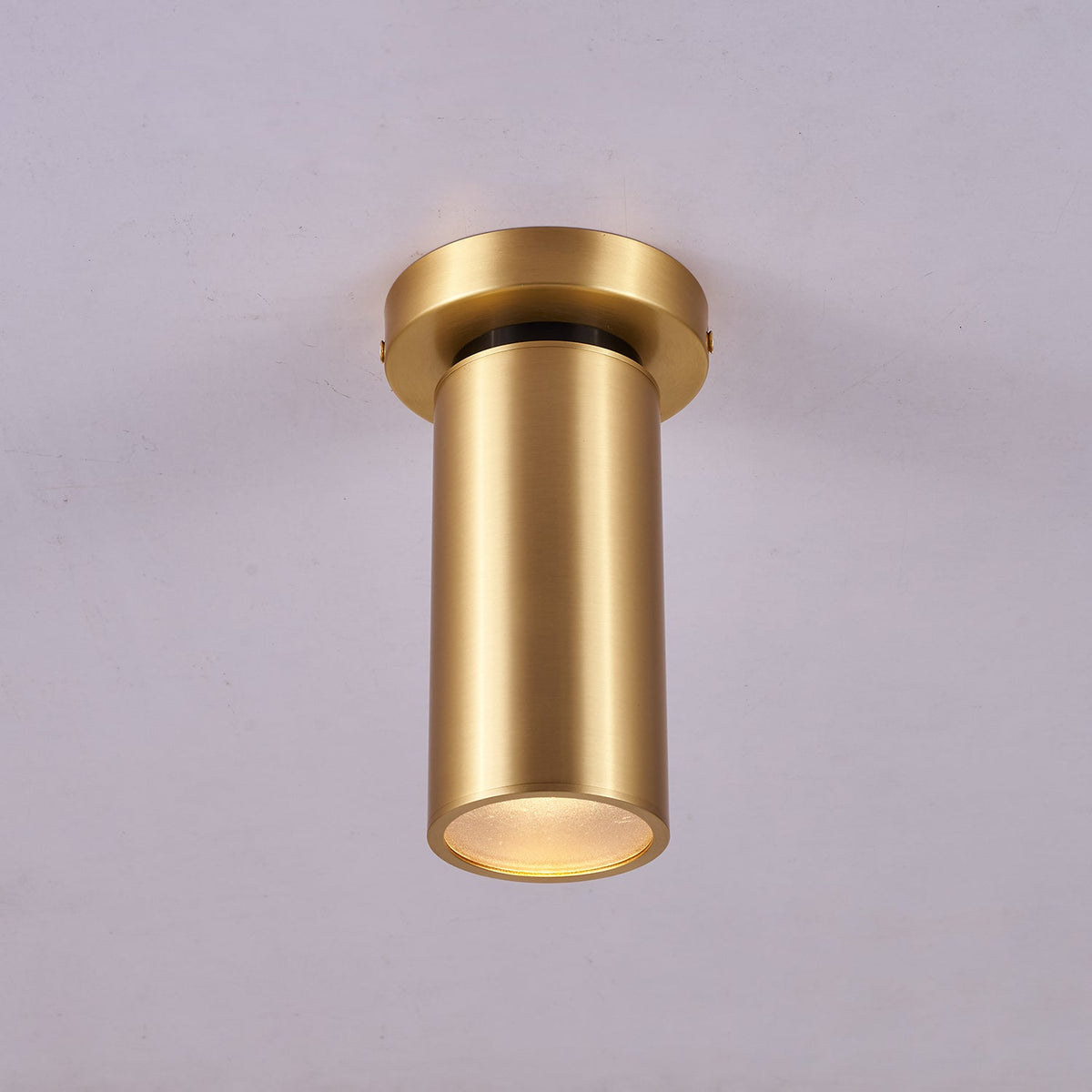 Horizon Brass Spot Light