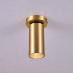 Horizon Brass Spot Light
