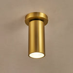 Horizon Brass Spot Light