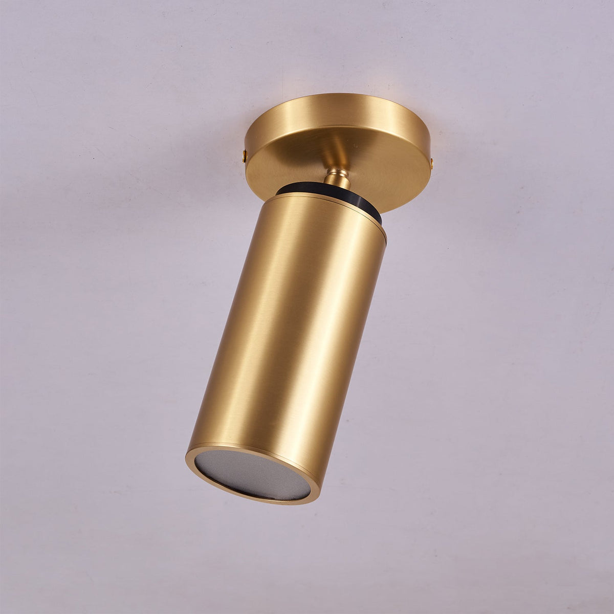 Horizon Brass Spot Light