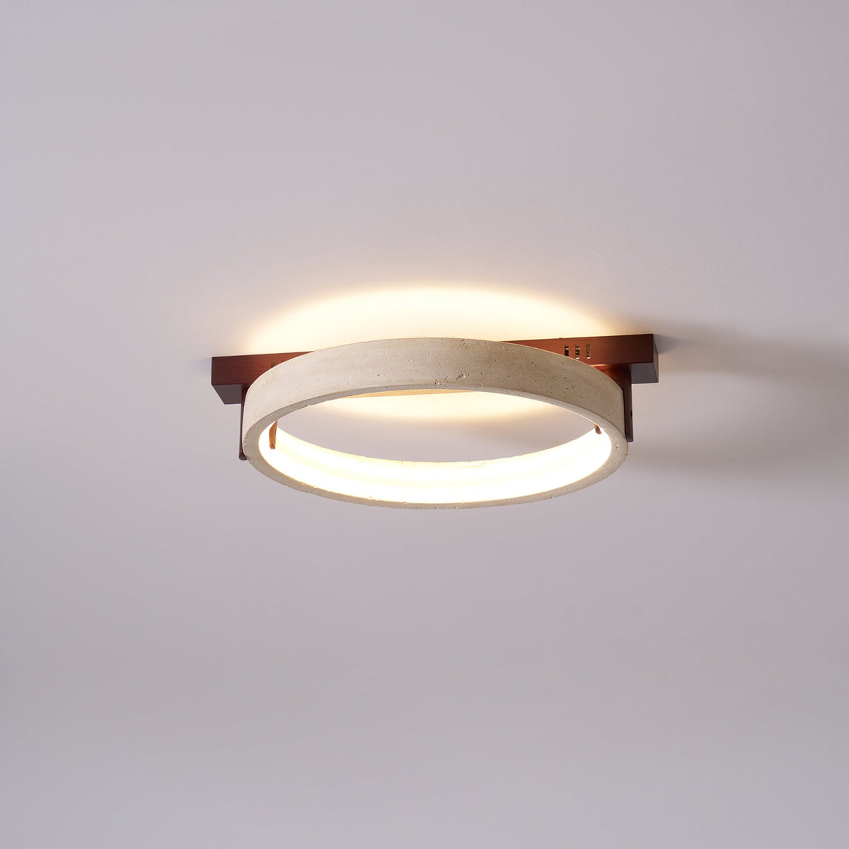 Horizon Ring Ceiling Lamp
