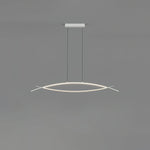 Hyperbola Pendant Light