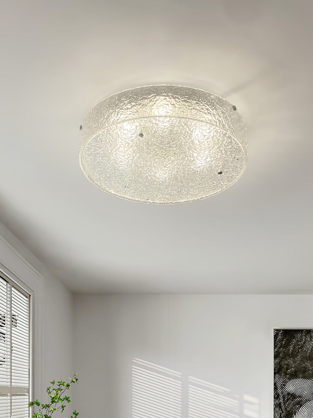 Illuminese Ceiling Lamp
