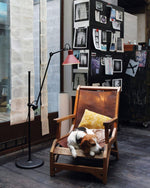 Versa Glide G215 Floor Lamp 12.6″