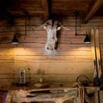 Versa Glide G222 Wall Light