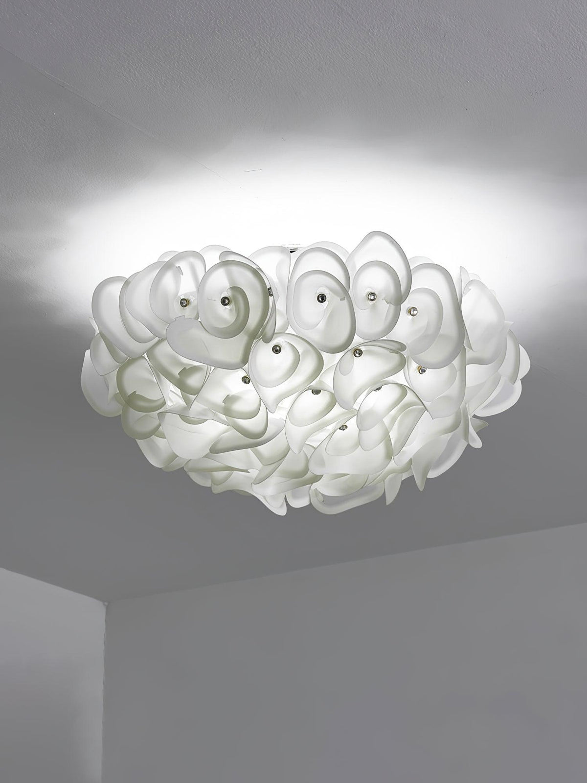 Leighton Ceiling Light