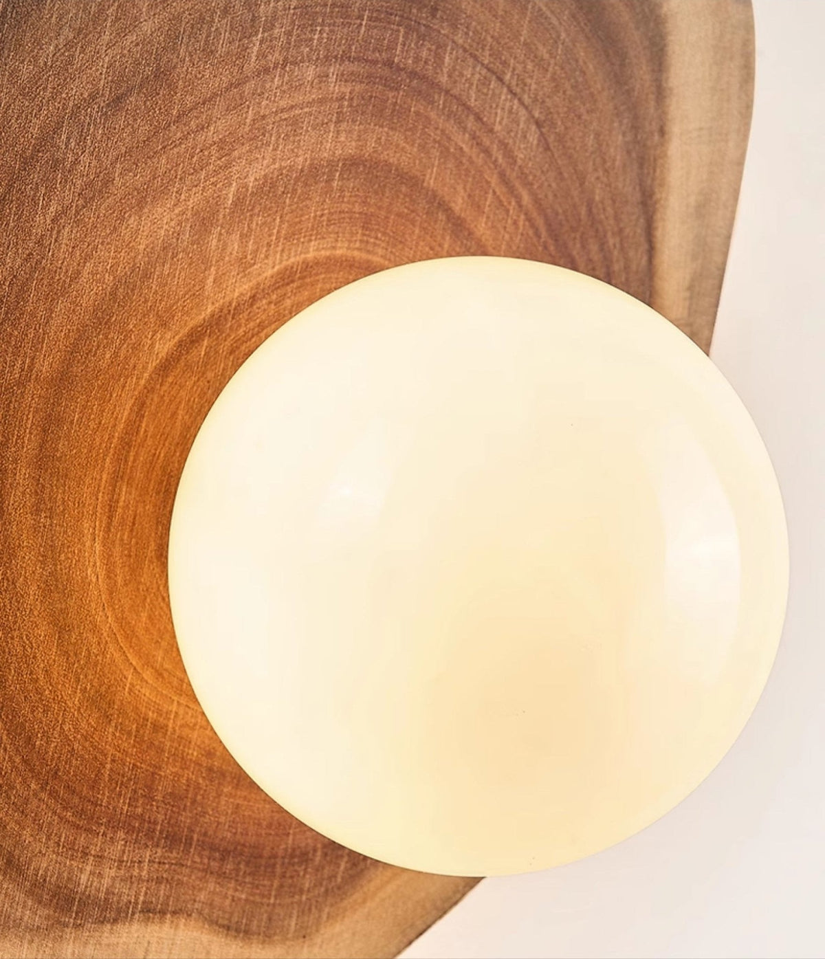 Ligna Wall Lamp