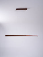 Linear Horizon Pendant Light