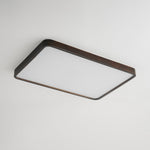 Lira Rectangular Ceiling Light