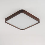 Lira Rectangular Ceiling Light