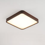 Lira Rectangular Ceiling Light