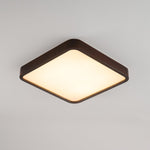 Lira Rectangular Ceiling Light