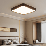 Lira Rectangular Ceiling Light