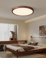 Lira Rectangular Ceiling Light