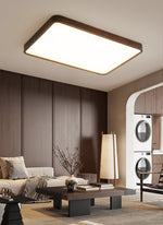 Lira Rectangular Ceiling Light