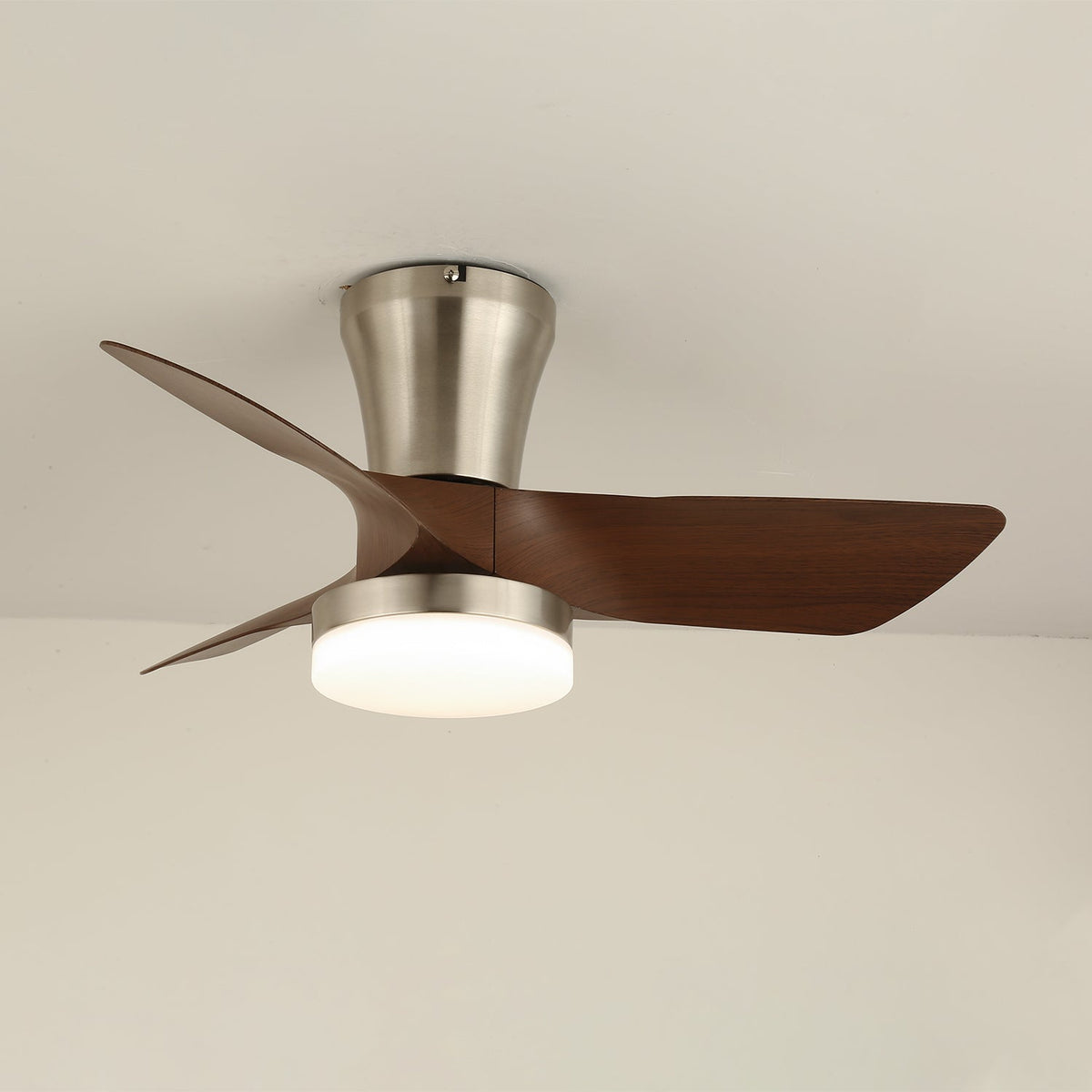 Lirien Ceiling Fan Light