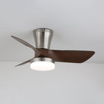 Lirien Ceiling Fan Light