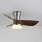 Lirien Ceiling Fan Light