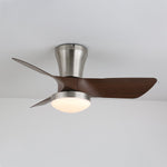 Lirien Ceiling Fan Light