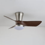 Lirien Ceiling Fan Light