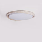 Lumen Arc Ceiling Light
