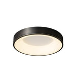 Lumenia Ceiling Light