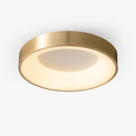 Lumenia Ceiling Light