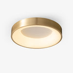 Lumenia Ceiling Light