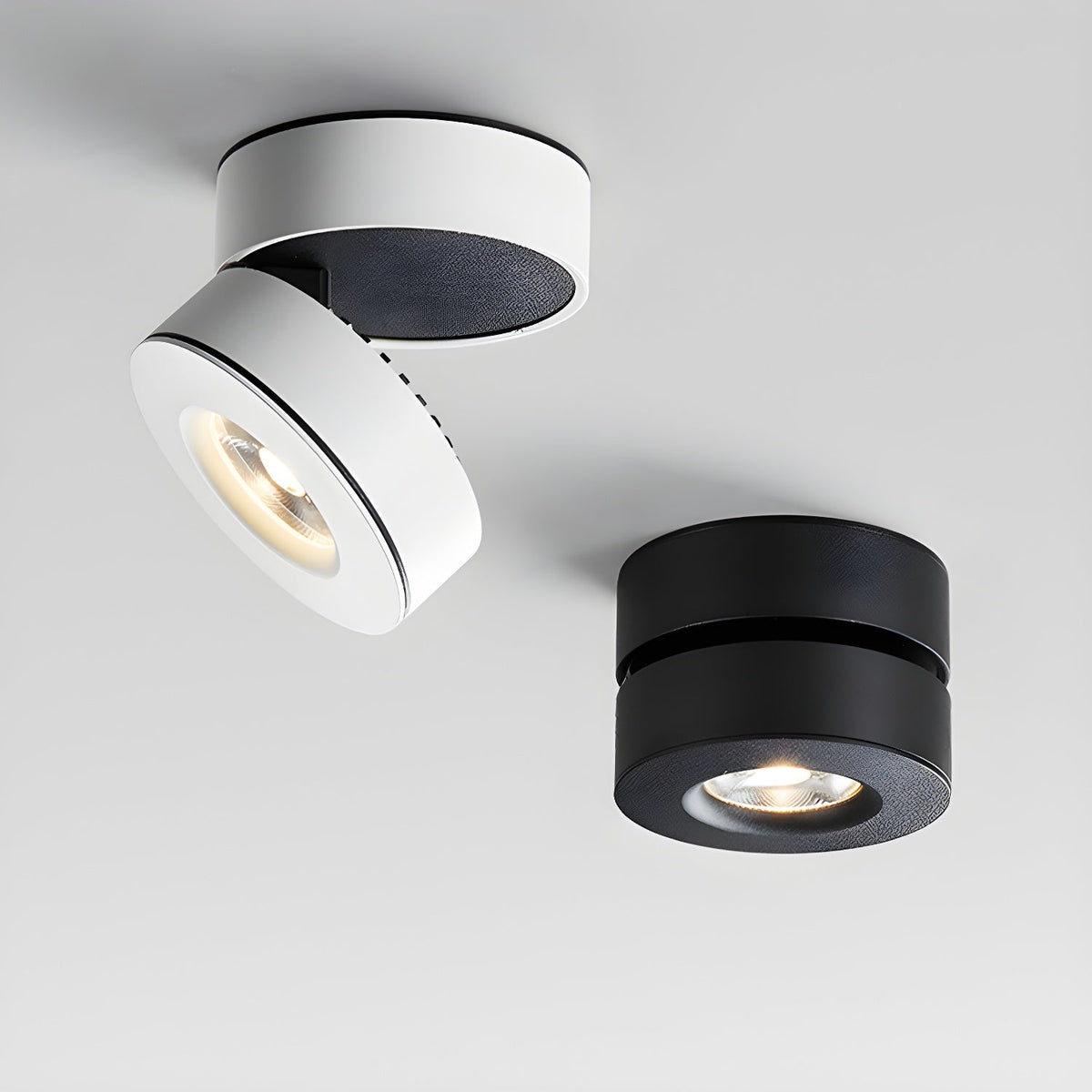 Lyric Adjustable Surface Downlight