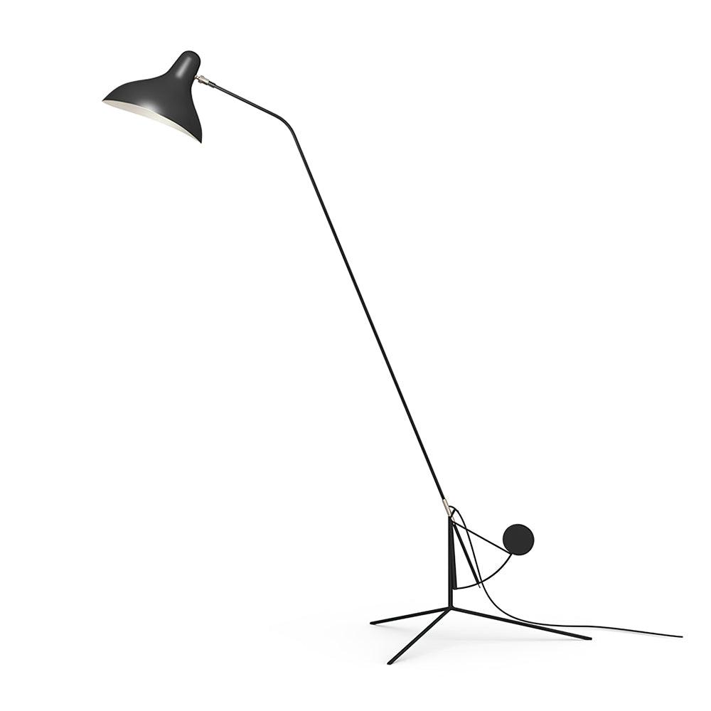 Mantis Arm Floor Lamp
