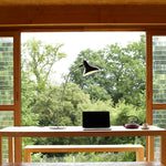 Oculus Arm Table Lamp