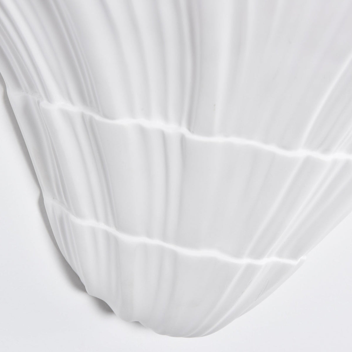 Marina Shell Wall Light