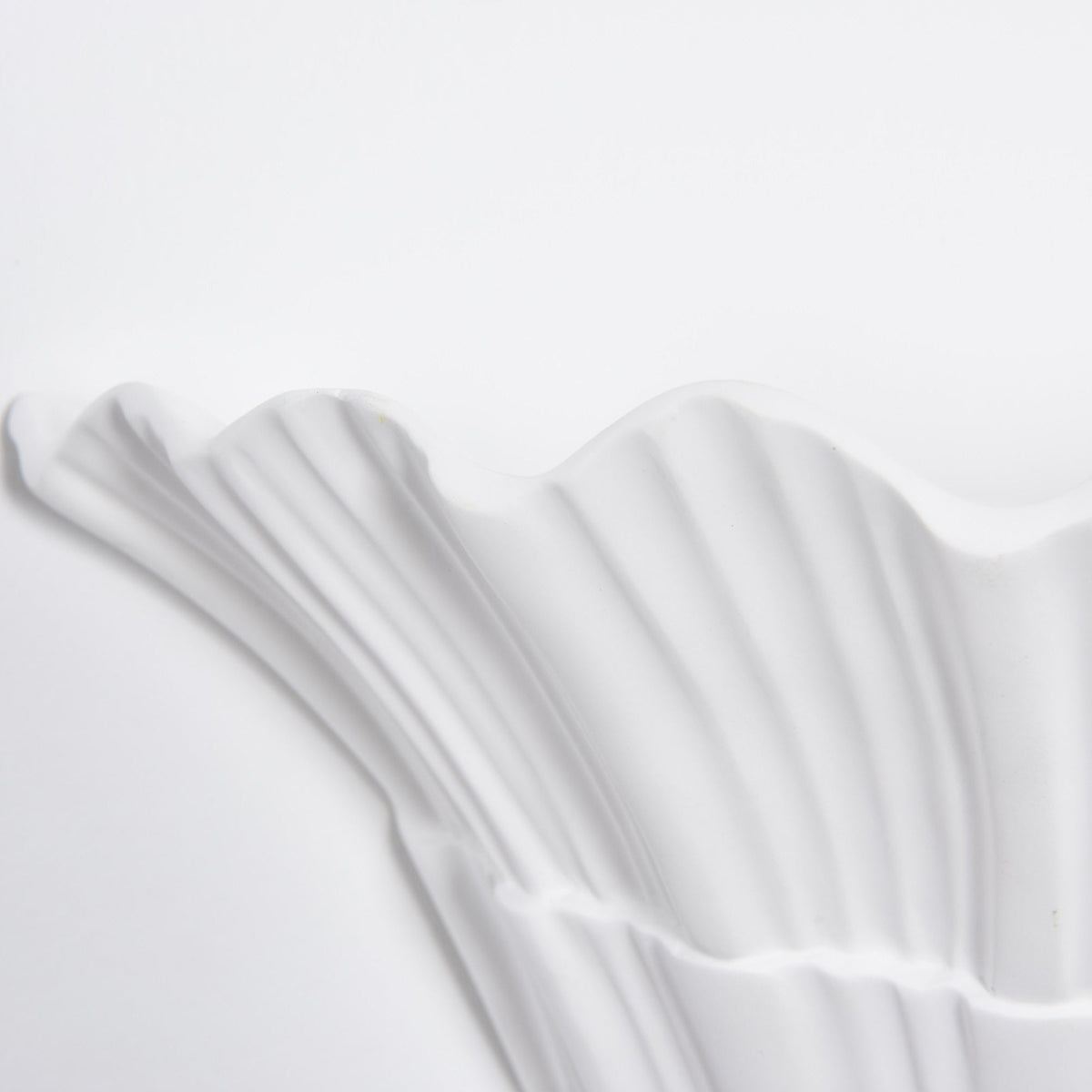 Marina Shell Wall Light