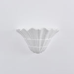 Marina Shell Wall Light