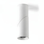 Maxwell Pivot Surface Downlight