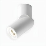 Maxwell Pivot Surface Downlight