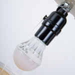 Balloon Dream Wall Light