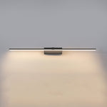 Metal Linear Mirror Wall Light