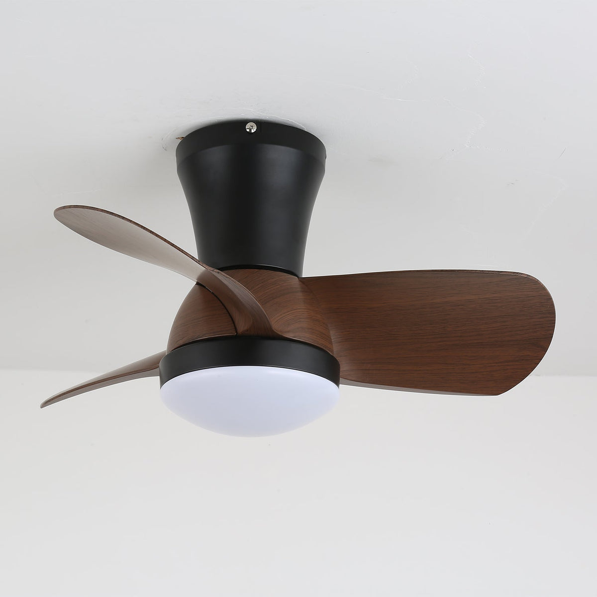 Miro Ceiling Fan Light