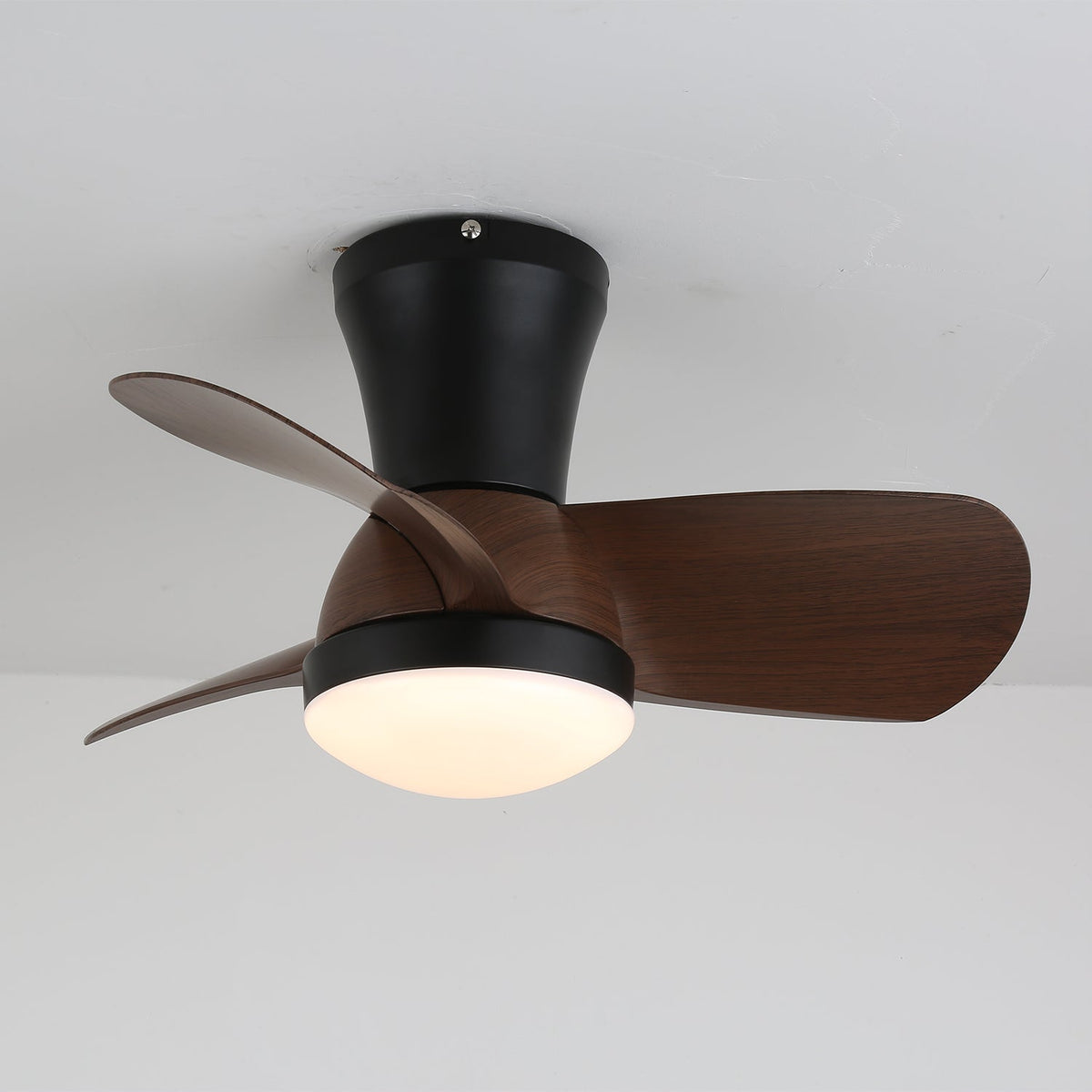 Miro Ceiling Fan Light